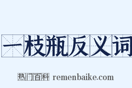 一枝瓶反义词是什么意思的图片